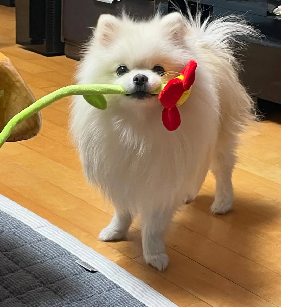 Tested by a Real Cloud